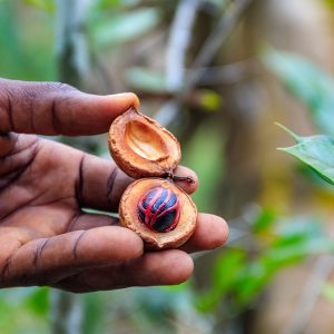 spice farm tour